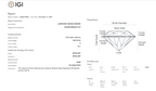 James Diamond Lab-Grown Asscher Cut 3.84ct E/VS1 – IGI Certified – SKU 666415932