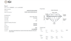 James Diamond Lab-Grown Cushion Cut 8.51ct E/VS1 – IGI Certified – SKU 702569955