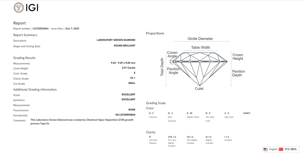 James Diamond Lab-Grown Round Brilliant 2.91ct E/VS1 – IGI Certified – SKU 720503864