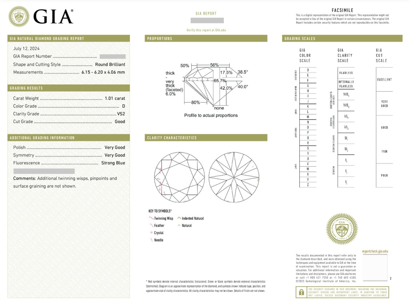 Natural Diamond / GIA Certificate / 1.01 carat D/VS2 💎