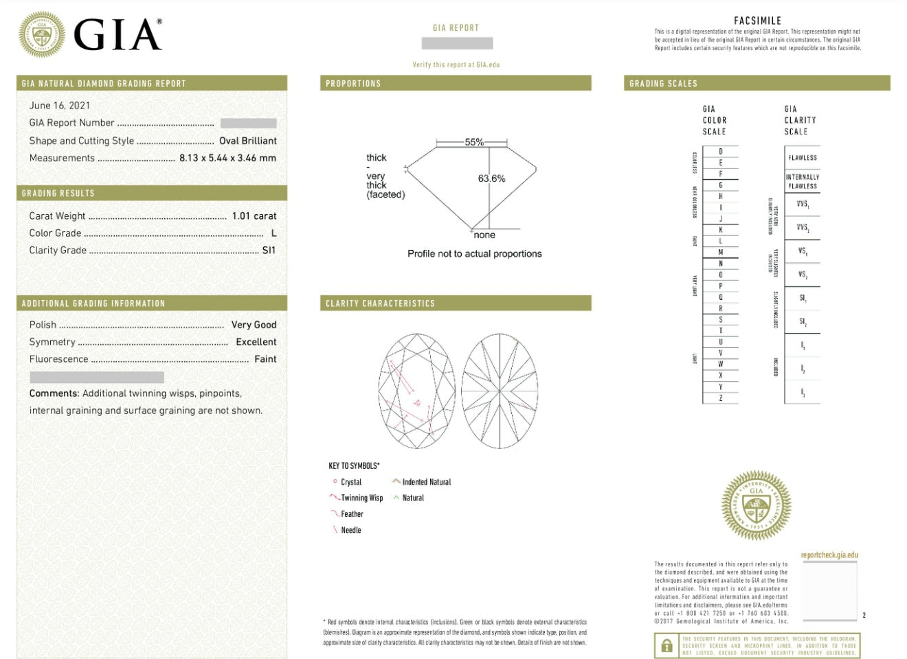 Natural Diamond / GIA Certificate 💎 Oval 1.01 carat L/Si1 💎